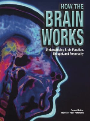 cover image of How the Brain Works